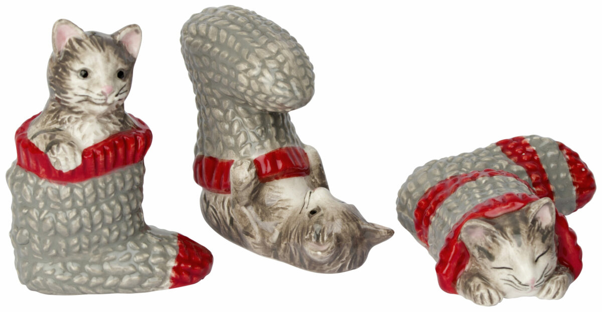 Raggsockskattungar
