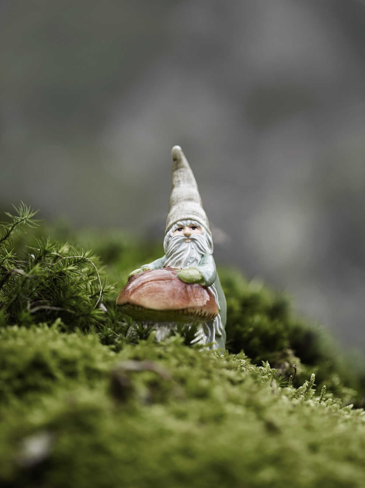 Skogstomten Mini