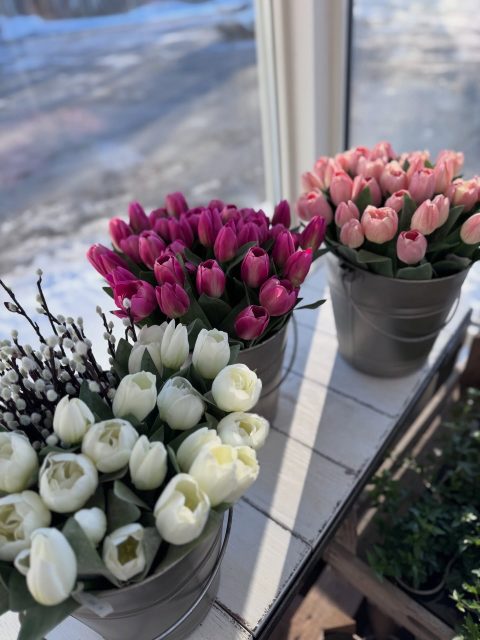 God Morgon Söndag 🌸💫💕

Idag bjuder vi dig på 10 bilder från butiken just nu, det är så härligt att solens strålar börjar leta sig in och ljuset återvänder ☀️

Hoppas du får en härlig Söndag 🤗