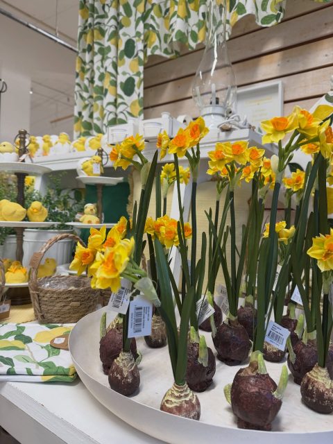 10 bilder från Inredninds-sidan av butiken 📸

Även om det kanske just nu är väderbakslag ute så är det då rakt inte det inne i butiken - Tvärtom 🤭🌼💕

Hoppas du får en riktigt härlig tisdagskväll 🤗