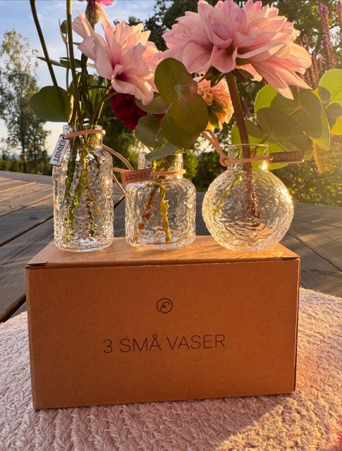 3 små vaser i mönstrat glas från @ernstform.se 🌸

Perfekta till blommorna som inte får så långa stjälkar och fina att placera tillsammans eller var för sig 🥰🌸

3-Pack 250kr

#presentshopenkinnarp