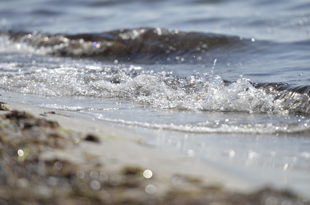 strand, vatten, nature, hav, falsterbo, water, beach, sea