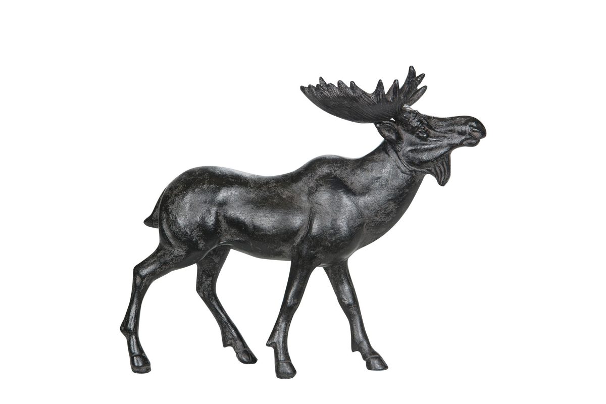 Älg Brun