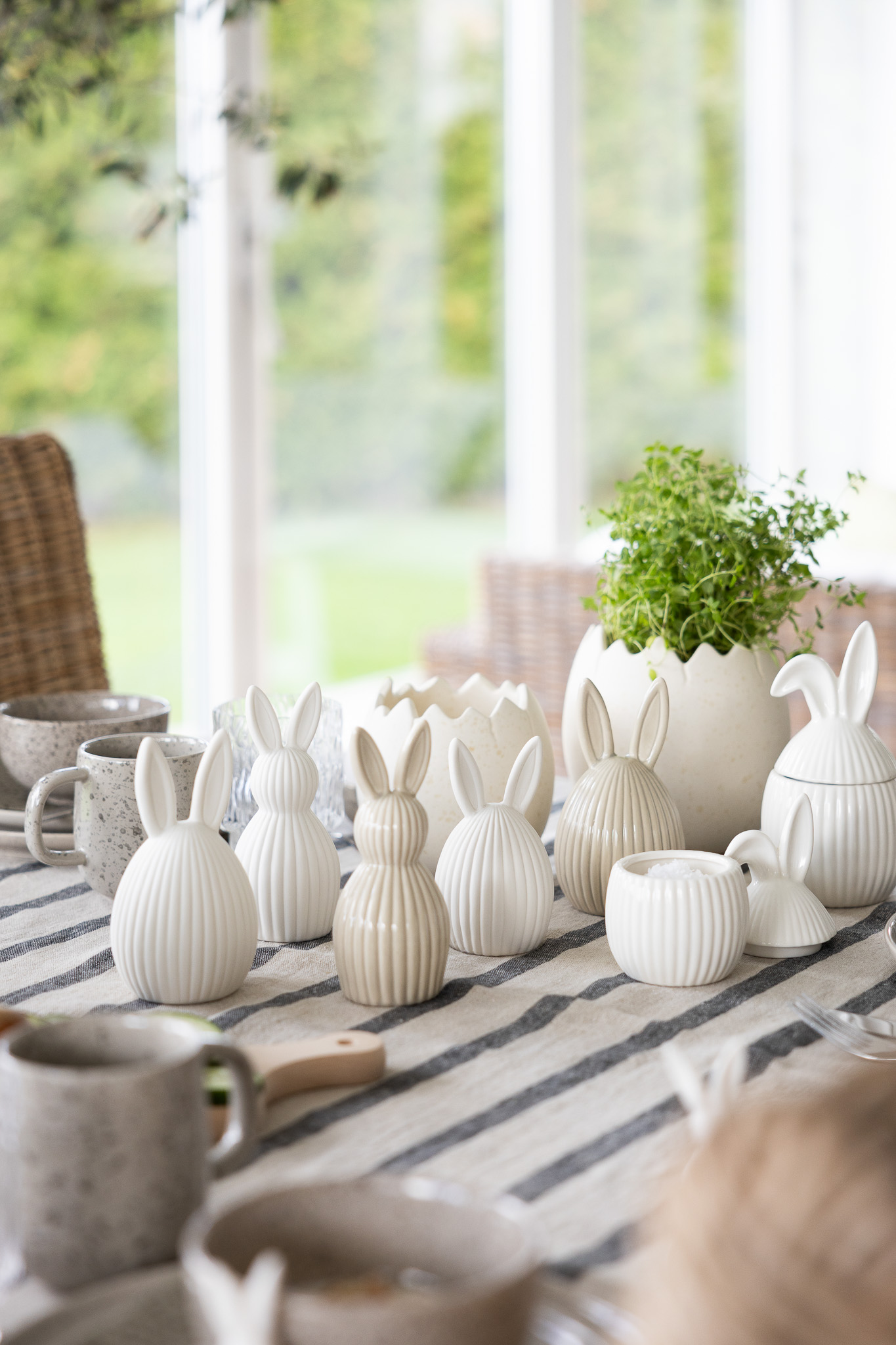 Alba Burk Stor - Bild 4