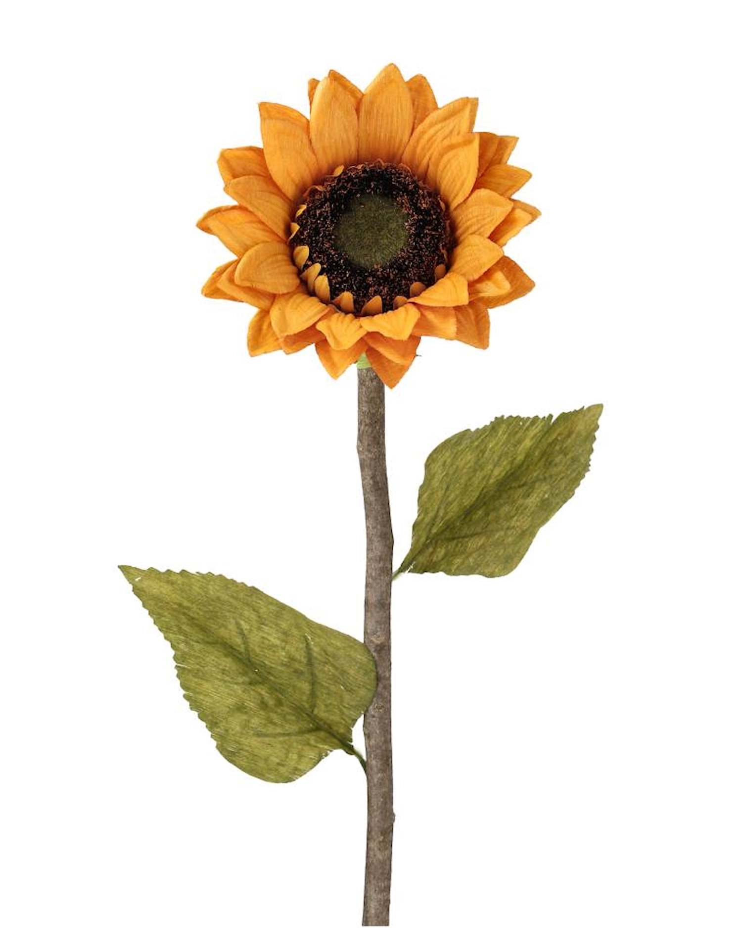 Solros Orange
