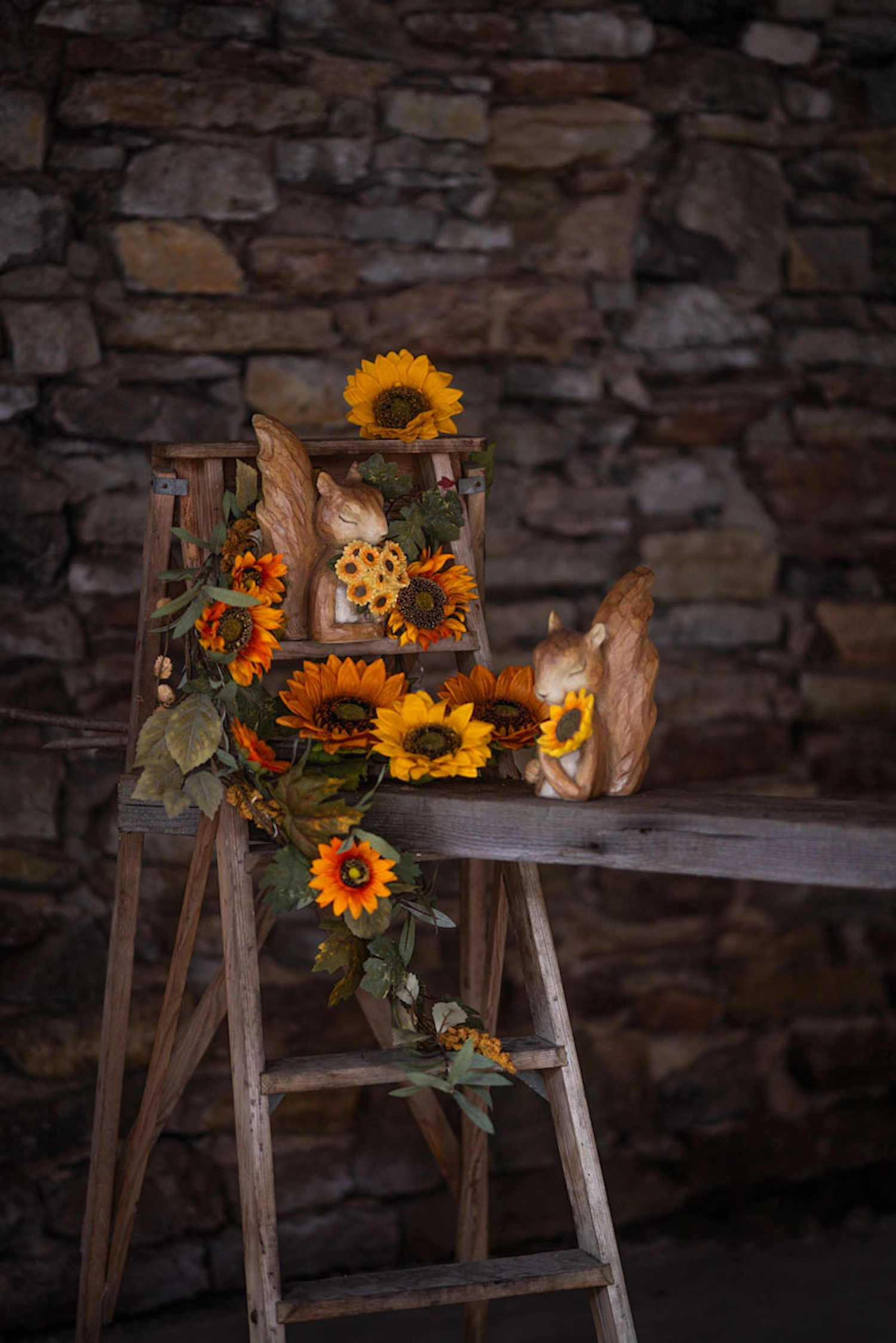 Solros Orange - Bild 3